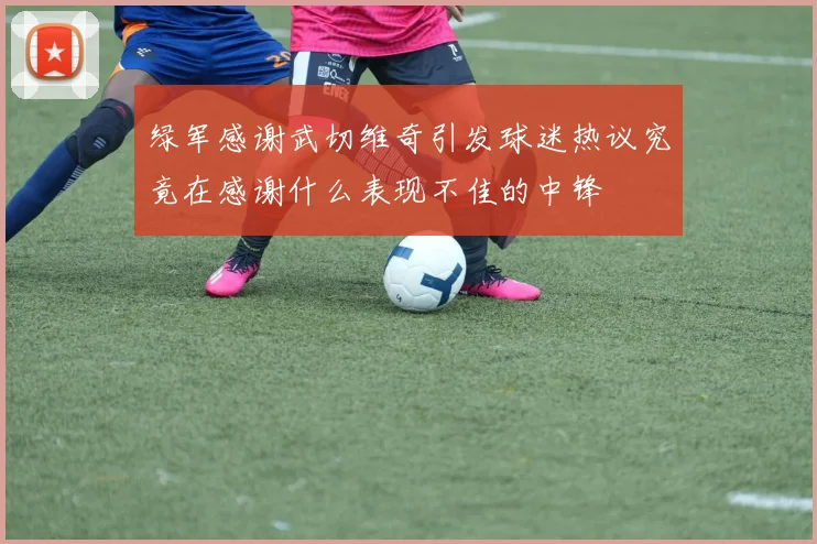 绿军感谢武切维奇引发球迷热议究竟在感谢什么表现不佳的中锋
