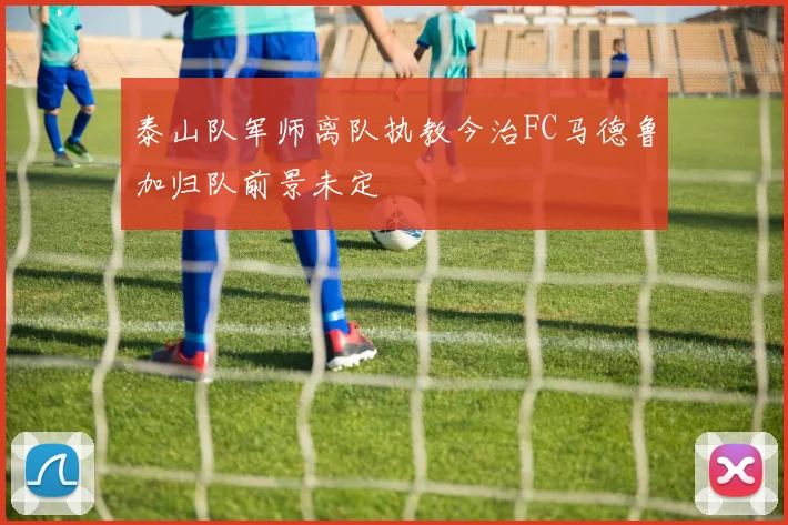 泰山队军师离队执教今治FC马德鲁加归队前景未定