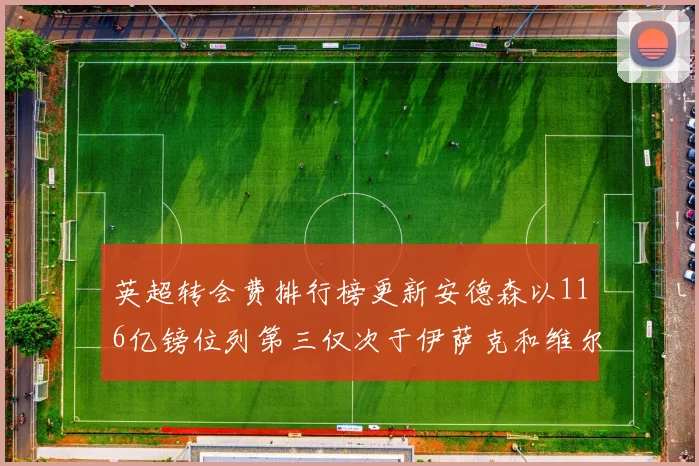 英超转会费排行榜更新安德森以116亿镑位列第三仅次于伊萨克和维尔茨